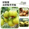 Fuxiaoxi Pure Pear Paste